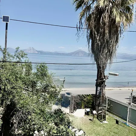 Sunset Oasis * Mítikas