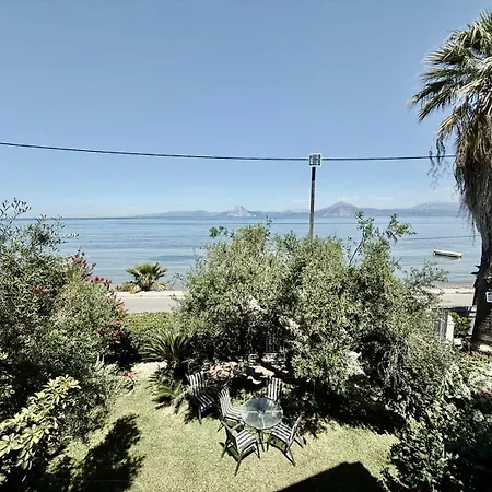 Sunset Oasis * Mítikas