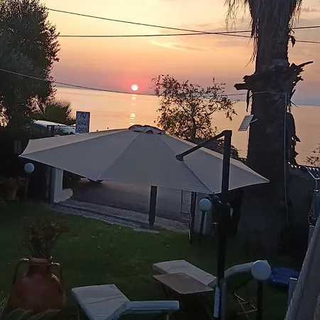 Sunset Oasis